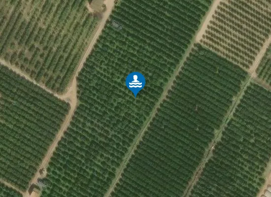 Satellite image of PLAYA DELS PINETS-FONDO DE BOLA PM1