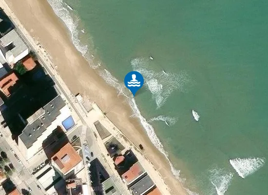 Satellite image of PLAYA DE BELLREGUARD PM1