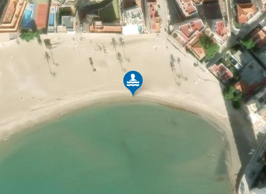 Satellite image of PLAYA LOS OLIVOS PM1