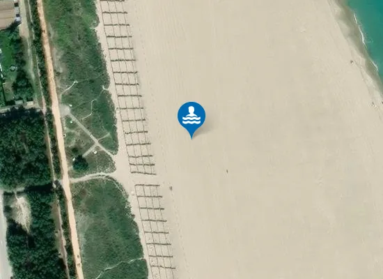 Satellite image of PLAYA DE L'ARBRE DEL GOS PM1