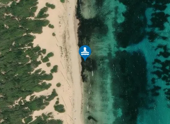 Satellite image of PLAYA ES CAVALLET PM1