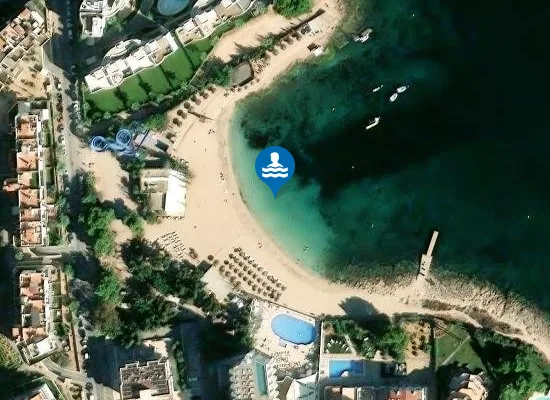 Satellite image of PLAYA ES PINET PM1