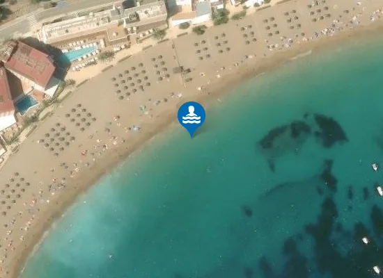 Satellite image of PLAYA CALA SANT VICENT PM1