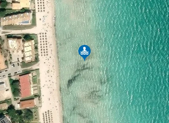 Satellite image of PLAYA PORT D'ALC?DIA PM1