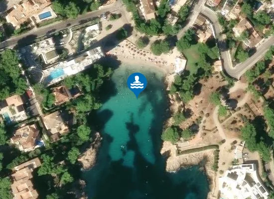 Satellite image of PLAYA DE PORTALS NOUS PM1