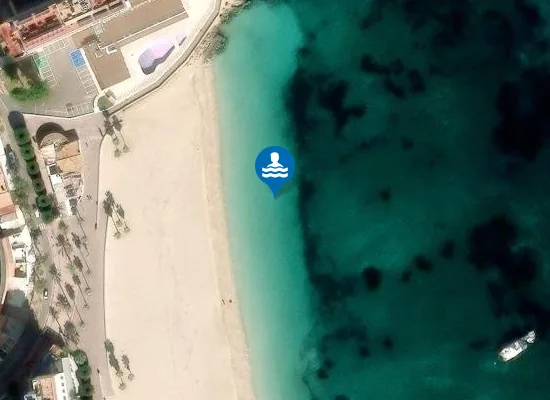 Satellite image of PLAYA SON MATIES PM2