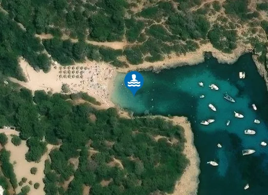 Satellite image of PLAYA CALA SA NAU PM1