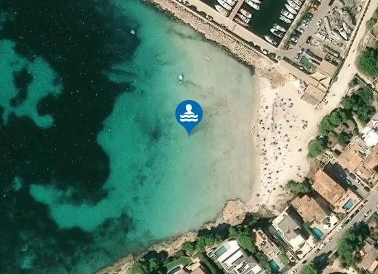 Satellite image of PLAYA CAL? DE SANT ANTONI PM1