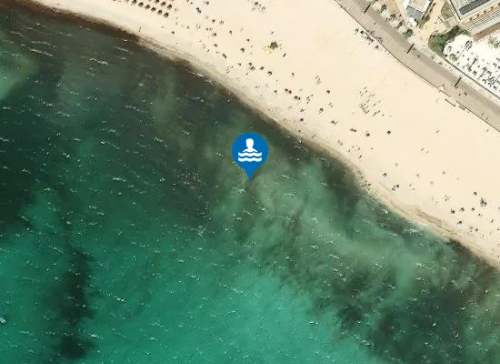 Satellite image of PLAYA DE PALMA PM1