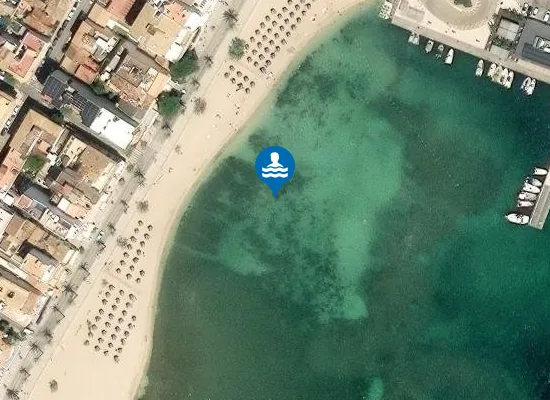 Satellite image of PLAYA DELS TAMARELLS (PORT DE POLLEN?A) PM1