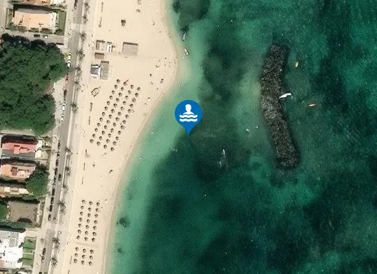 Satellite image of PLAYA DELS TAMARELLS (PORT DE POLLEN?A) PM2