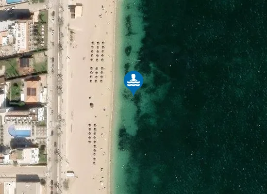 Satellite image of PLAYA DELS TAMARELLS (PORT DE POLLEN?A) PM3