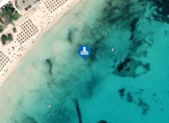 Satellite image of PLAYA SA COMA PM1