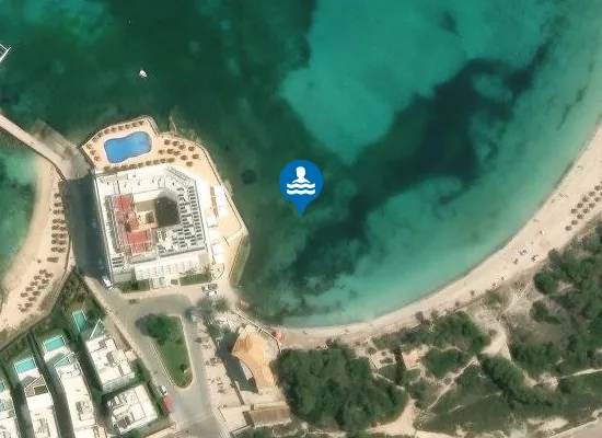 Satellite image of PLAYA DES MARQU?S PM1
