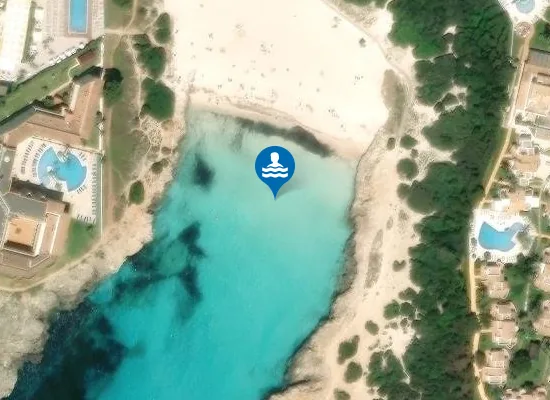 Satellite image of PLAYA CALA EN BOSCH PM1
