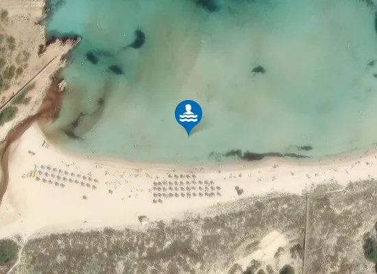 Satellite image of PLAYA SON SAURA PM1