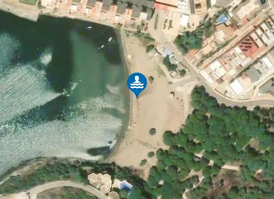 Satellite image of PLAYA CALA DEL PINO PM1