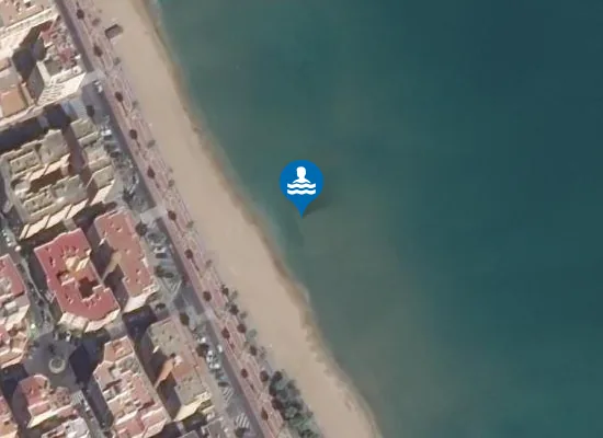 Satellite image of PLAYA DEL HIP?DROMO PM2