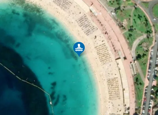 Satellite image of PLAYA AMADORES PM1
