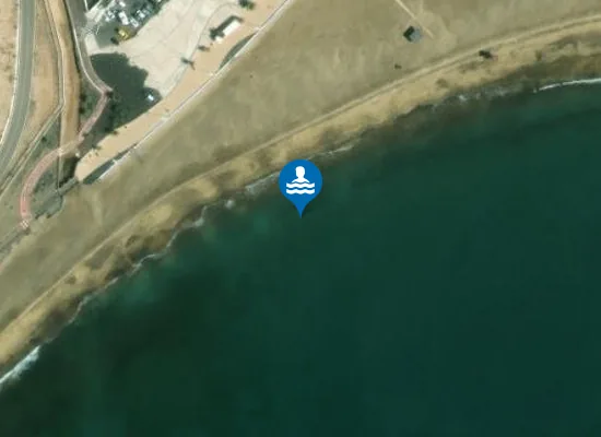 Satellite image of PLAYA GUASIMETA PM1