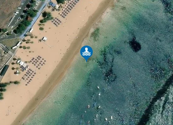 Satellite image of PLAYA TERESITAS (LAS) PM1