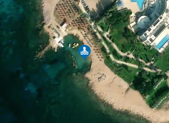 Satellite image of PACHYAMMOS A