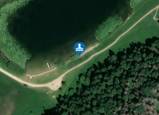 Satellite image of LAC DE LAMOURA