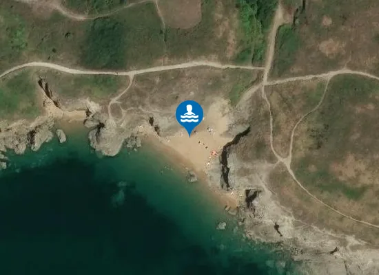 Satellite image of PLAGE DU CHOIZEAU