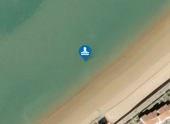 Satellite image of FROMENTINE