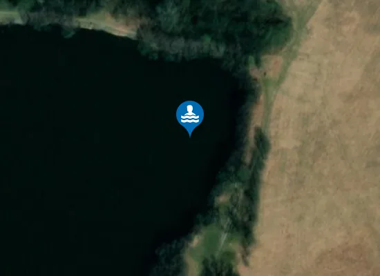 Satellite image of PODĚBRADY - PLANÉ LOUČKY