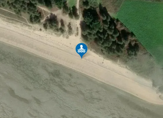 Satellite image of LE PALANDRIN